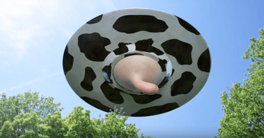 Das Nippel-UFO von Rakunoh Mother’s